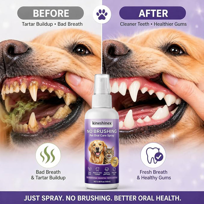 Breath Oral Care Pet Oral Care Spray by Ricaloux