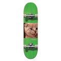 Civilian - Complete - Animalography Series "Cat"