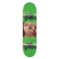 Civilian - Complete - Animalography Series "Cat"