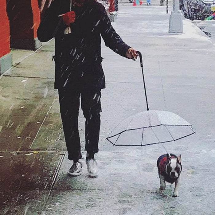 Dog's Transparent Umbrella With Traction Chain Removable Umbrella Pet Products by Ricaloux