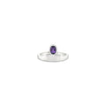 Fyora's Crown Ring, Neopets