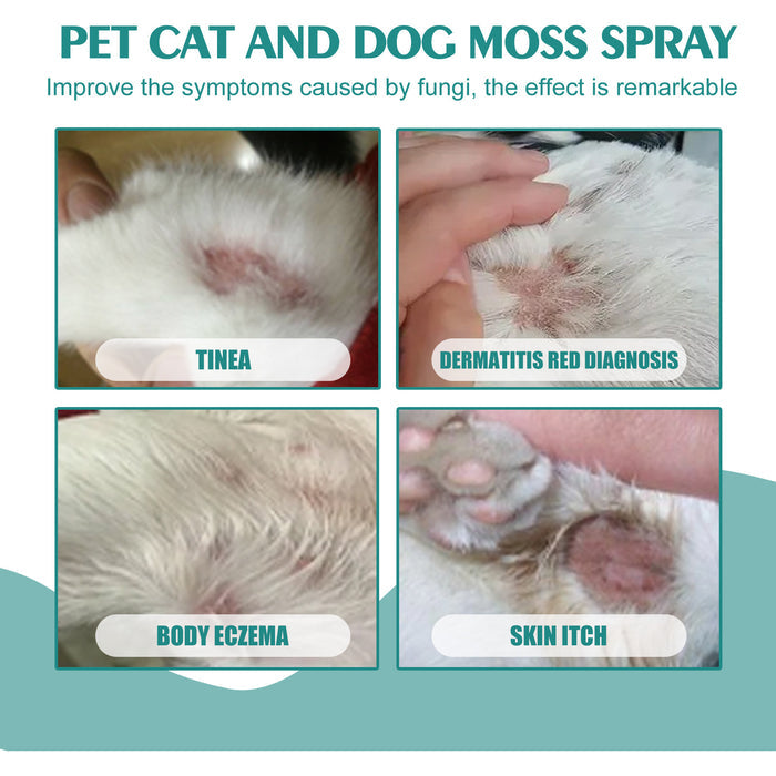 Pet Cat Dog Moss Spray Mite-removal Cleaning Relieve Pet Skin Moss Care Anti-itching Spray by Ricaloux