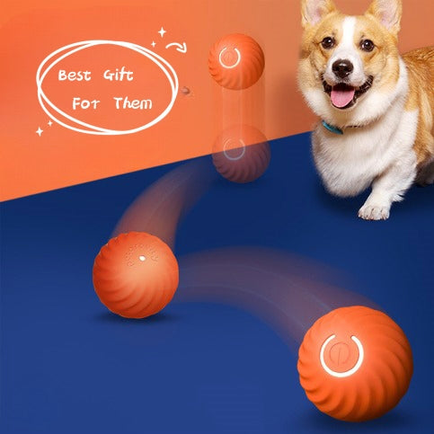Pet Dog Rubber Ball Toys For Dogs Resistance To Bite Dog Chew Toys Puppy Pets Dogs Training Products by Ricaloux