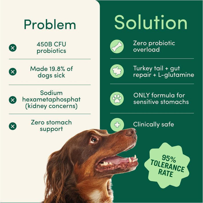 Pet Oral Care Powder Dog Teeth-Cleaning Powder by Ricaloux