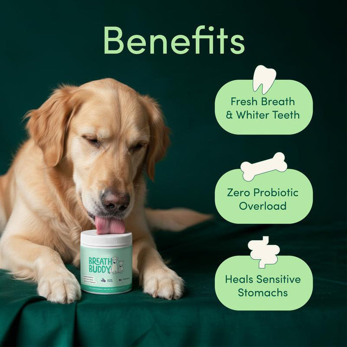 Pet Oral Care Powder Dog Teeth-Cleaning Powder by Ricaloux