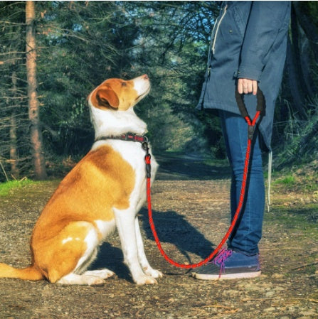 Reflective Dog Leash Nylon Pet Dog Leash Rope For Small Medium Large Dogs Walking Training Pet Suppiles by Ricaloux