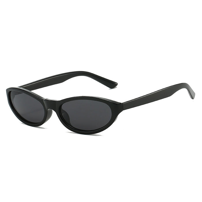 Sunglasses / Black Frame Gray Piece