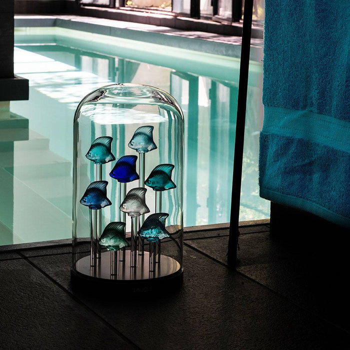 Lalique Turquoise Blue Crystal Fish Sculpture - Berry's Jewellers